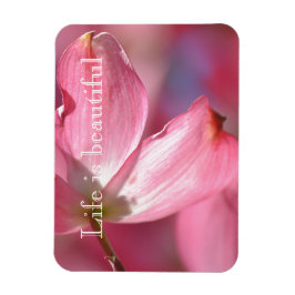 Rosa Dogwood-Blume Magnet