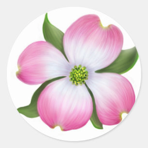 Rosa Dogwood-Blume Runder Aufkleber