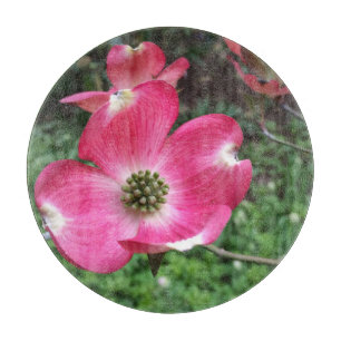 Rosa Dogwood-Blume Rundschnitt Schneidebrett