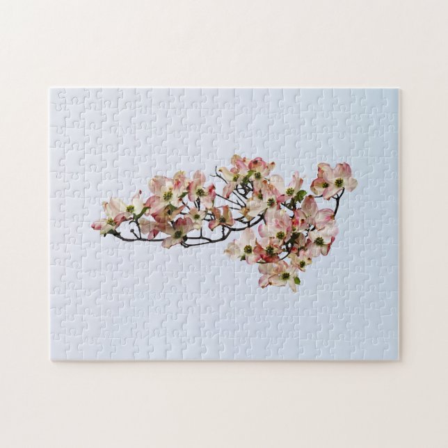 Rosa-Dogwood-Zweigstelle (Horizontal)
