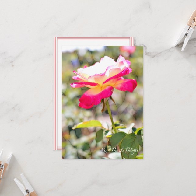 Rosa Double Delight: Flat Card (Vorderseite/Rückseite Beispiel)