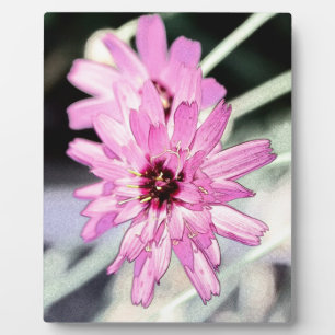 Rosa dunkle Blume. Blumenkunst aus Foto. Fotoplatte