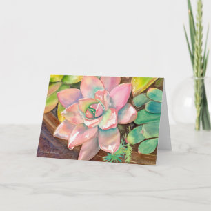 Rosa Echeveria Grußkarte von Debra Lee Baldwin Karte