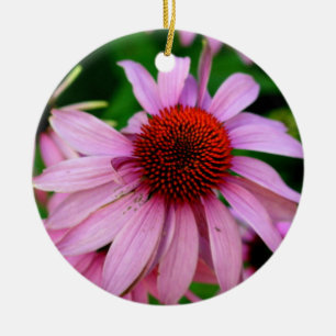 rosa Echinacea-Blumenverzierung Keramikornament