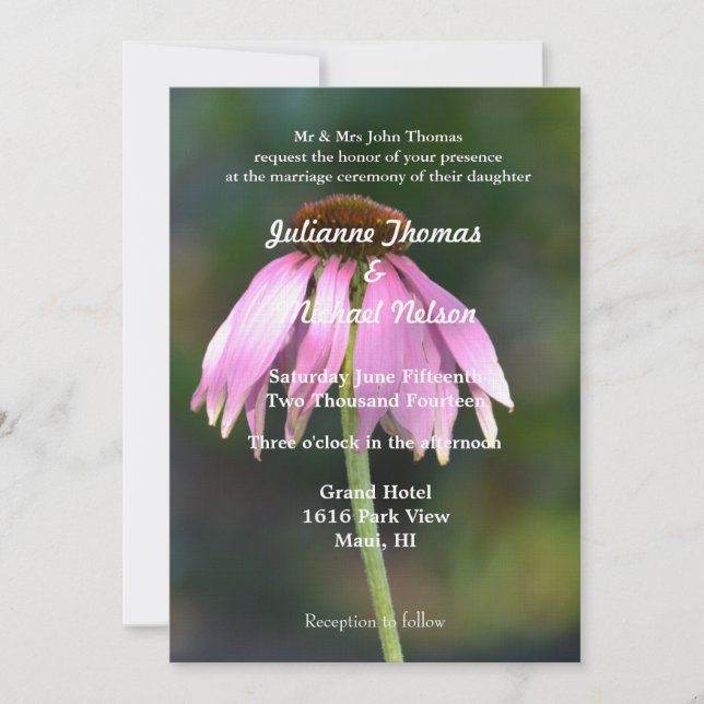 Rosa Echinacea-Blumenzehen Einladung (Vorderseite)