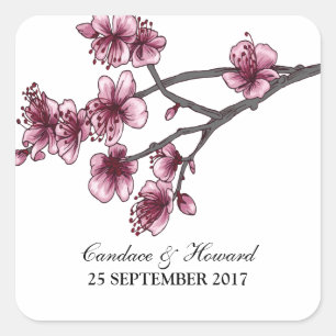 Rosa einfache Kirschblüten Hochzeitskleber Quadratischer Aufkleber