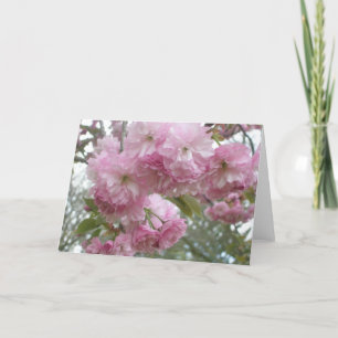 Rosa-Eingesäumte Blüten Karte