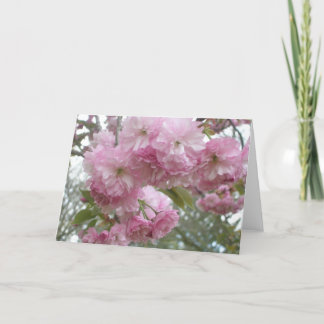 Rosa-Eingesäumte Blüten Karte