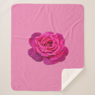 Rosa Einzelrose in Pink Sherpadecke