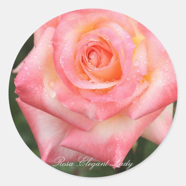 Rosa Elegant Lady Runder Aufkleber (Vorderseite)