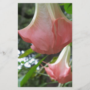 Rosa Engel Trompete Blume