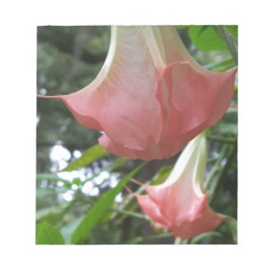 Rosa Engel Trompete Blume Notizblock