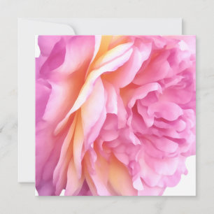 Rosa Englische Rose Blume Blumenblätter Leere Feiertagskarte
