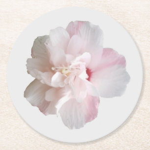 Rosa Erdbeer-Smoothie-Althea-Papierset Runder Pappuntersetzer