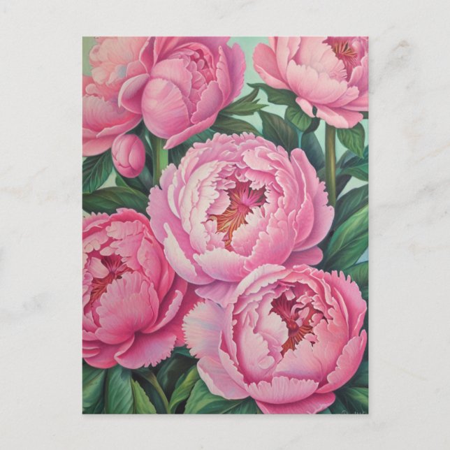 Rosa Erdnüsse Postkarte (Vorderseite)