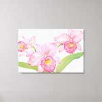 Rosa Exotische Blume