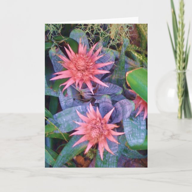Rosa exotische Blüten-Pflanzen-Gruß-Karte Karte (Vorderseite)