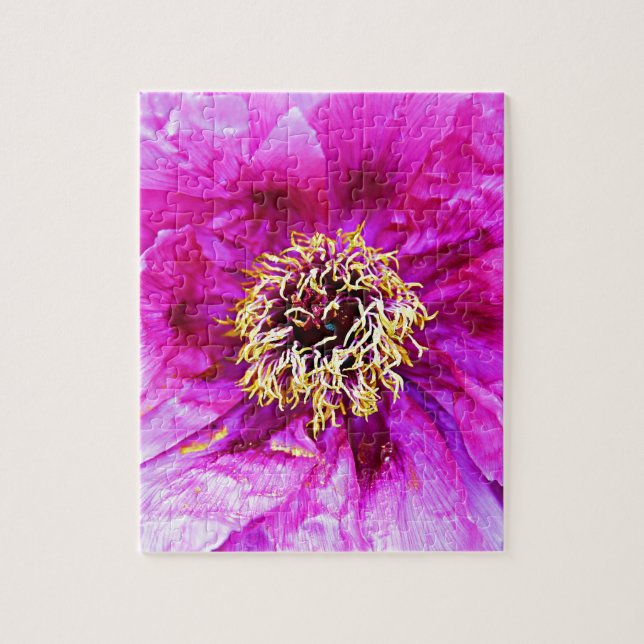 Rosa Explosion (Vertikal)