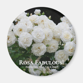 Rosa Fabulous! Magnet