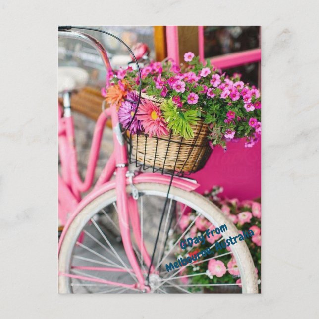 rosa Fahrrad und Blume Postkarte (Vorderseite)