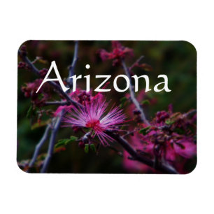 Rosa Fairywands-Magnet, Arizona Magnet