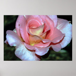 Rosa Farbe auf der Leinwand Poster