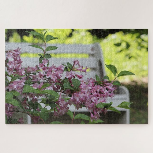 Rosa Felle (Horizontal)