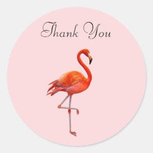 Rosa Flamingo auf Rosa Danke Runder Aufkleber