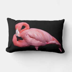 Rosa Flamingo auf schwarz Lendenkissen