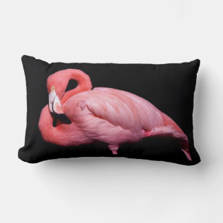 Rosa Flamingo auf schwarz Lendenkissen