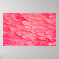Rosa Flamingo Feathersflamingo, Feder, Rosa, Textu