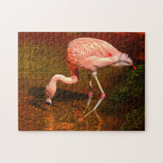 Rosa Flamingo Florida.