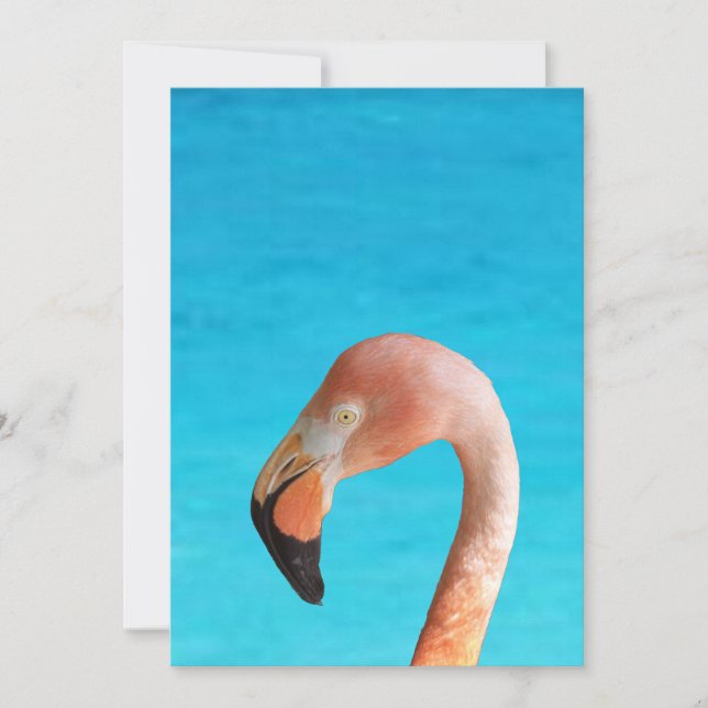 Rosa Flamingo-Gesicht gegen blaues Wasser auf Einladung (Vorderseite)
