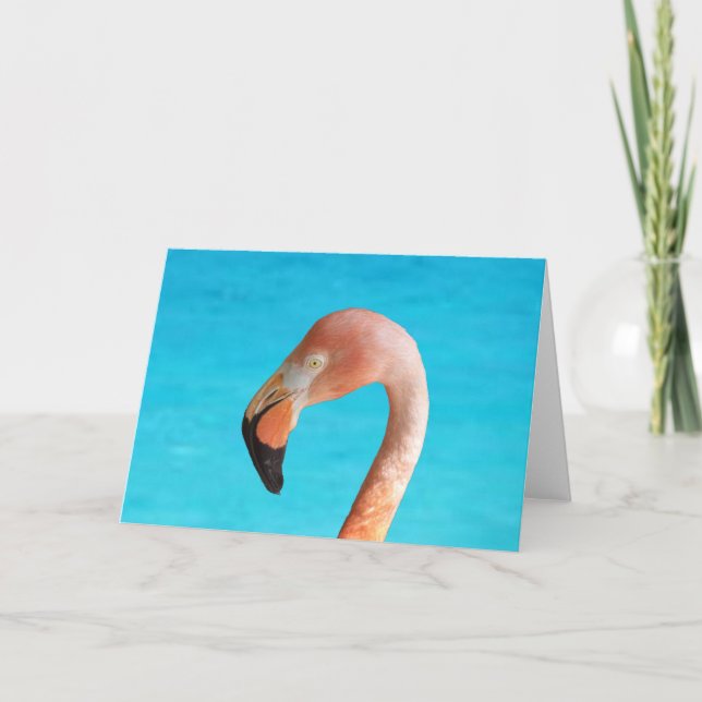 Rosa Flamingo-Gesicht gegen blaues Wasser auf Karte (Vorderseite)