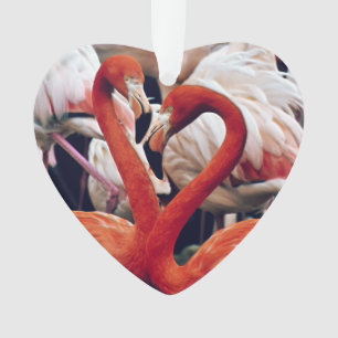 Rosa Flamingo in der Natur Ornament