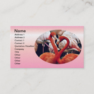 Rosa Flamingo in der Natur Visitenkarte