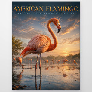 Rosa Flamingo Küstenlagune TIERWELT Postkarte