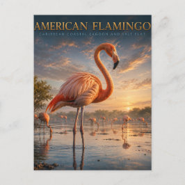 Rosa Flamingo Küstenlagune TIERWELT Postkarte