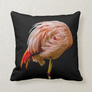 Rosa Flamingo-Lutscher Kissen