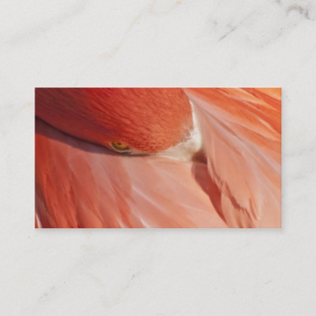 Rosa Flamingo-Nahaufnahme-Visitenkarte Visitenkarte (Vorderseite)