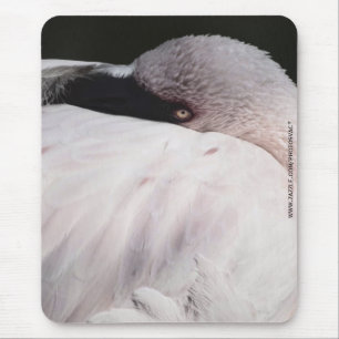 Rosa Flamingo-Porträt-Zeichnungseffekt-Kunst Mousepad