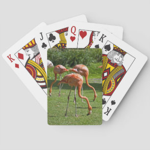 Rosa Flamingo-Porträtzeichnungseffekt-Kunst Spielkarten
