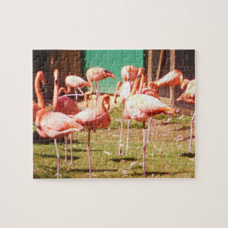 Rosa Flamingo-Puzzlespiel