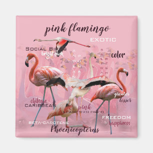 Rosa Flamingo-Typografie besonders angefertigt Magnet