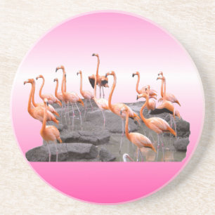 Rosa Flamingo-Untersetzer Untersetzer