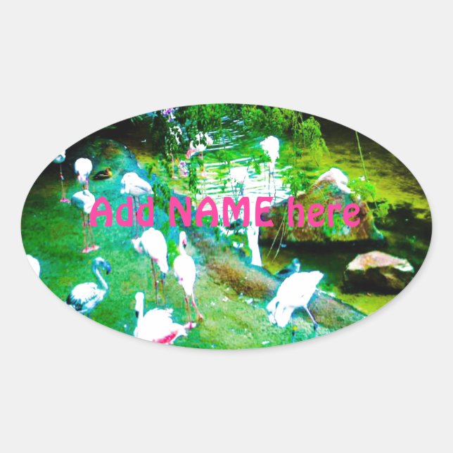 Rosa Flamingo Vögel Custom Ovaler Aufkleber (Vorderseite)