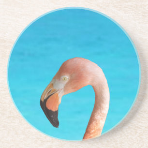 Rosa Flamingogesicht gegen blaues Wasser auf einem Getränkeuntersetzer