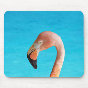 Rosa Flamingogesicht gegen blaues Wasser auf einem Mousepad