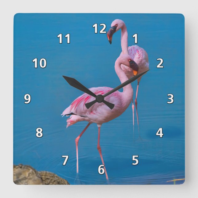Rosa Flamingos am See Quadratische Wanduhr (Vorderseite)