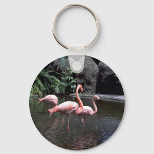 Rosa Flamingos im Teich, St. Petersburg, Florida, Schlüsselanhänger